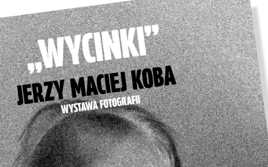 Wystawa „Wycinki”