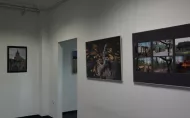 wnętrze galerii, na ścianach kolorowe fotografie