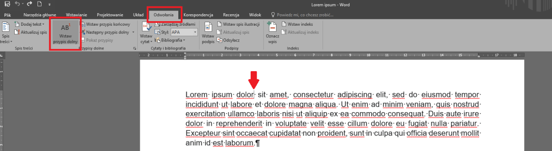 Zdjęcie przedstawiające opcję wstawiania przypisów dolnych w Wordzie.